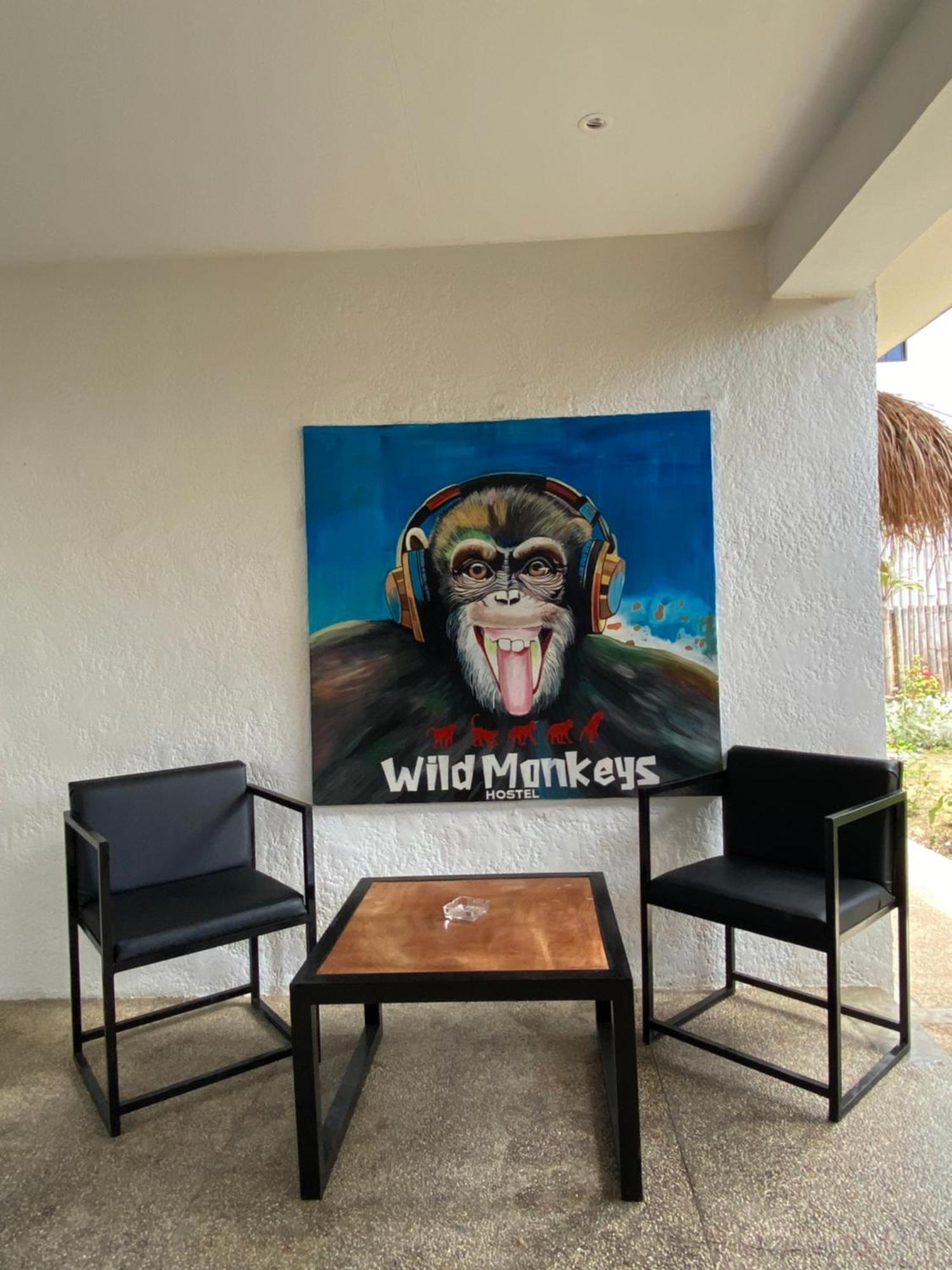 Wild Monkeys Hostel Moalboal Zewnętrze zdjęcie